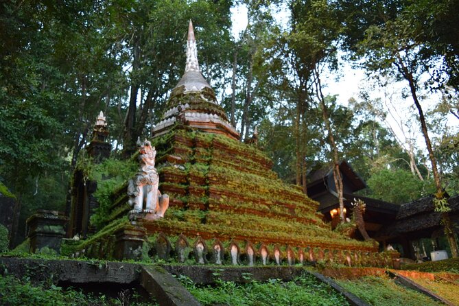 One Day Tour Doi Suthep Temple, Palad Temple, Orchid Farm, Longneck hill tribe village (Private tour) - Karen Long Neck Village: Cultural Visit With Real-Life Context