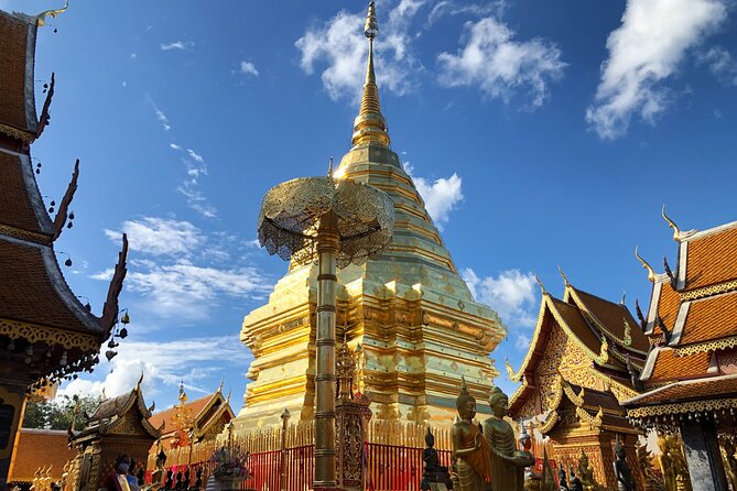 One Day Tour Doi Suthep Temple, Palad Temple, Orchid Farm, Longneck hill tribe village (Private tour) - Pickup, Comfort, and the Logistics That Matter