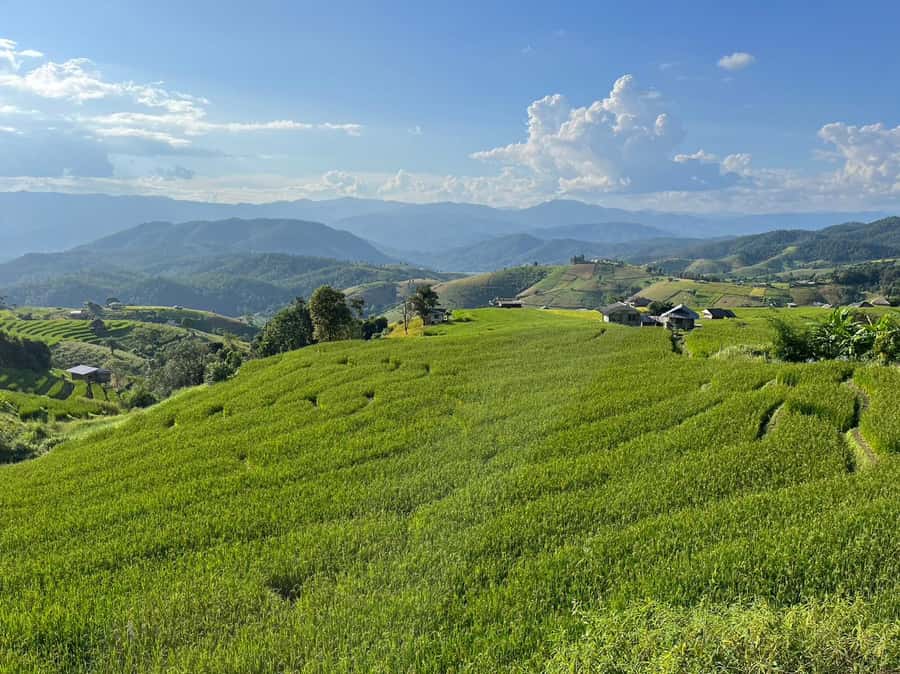 Pa Pong Piang Rice Terraces & Doi Inthanon National Park - Private Car Value: What $147 Covers (and When It Feels Worth It)