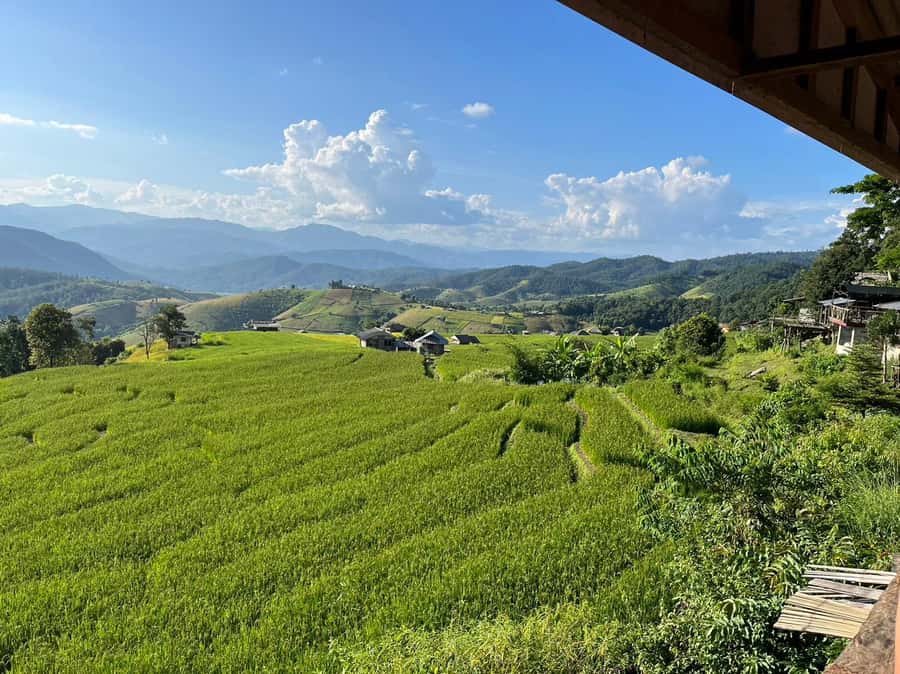 Pa Pong Piang Rice Terraces & Doi Inthanon National Park - Entering Doi Inthanon: Cold, Humid Air and a “Feels Like Another World” Reset