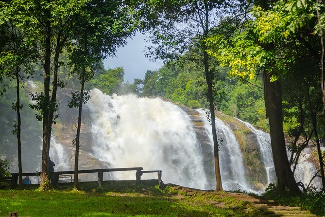 Pha Dok Siew Nature Trail & Doi Inthanon National Park From Chiang Mai - Waterfall Circuit: Wachirathan, Sirithan, and Pha Dok Siew