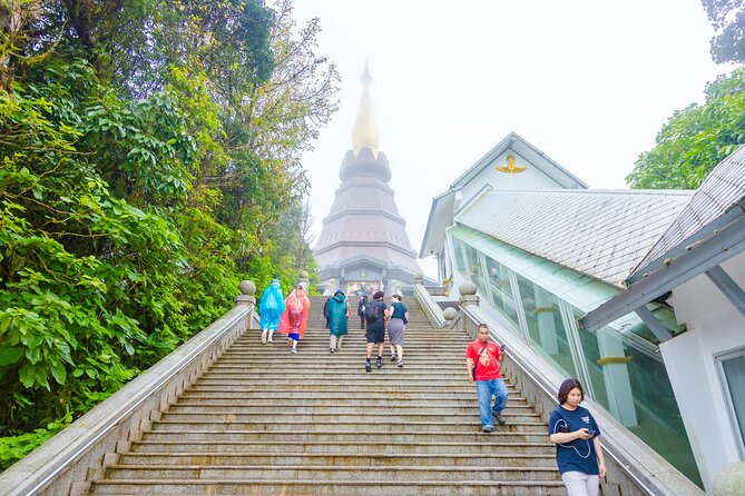 Pha Dok Siew Nature Trail & Doi Inthanon National Park From Chiang Mai - Pha Dok Siew Nature Trail with a Hill-Tribe Guide