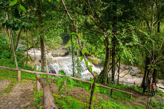 Pha Dok Siew Nature Trail & Doi Inthanon National Park From Chiang Mai - White Karen Village and Hmong Market, Plus Coffee Worth Hunting For