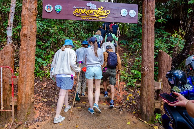 Pha Dok Siew Nature Trail & Doi Inthanon National Park From Chiang Mai - Lunch, What’s Included, and What You’ll Pay Extra