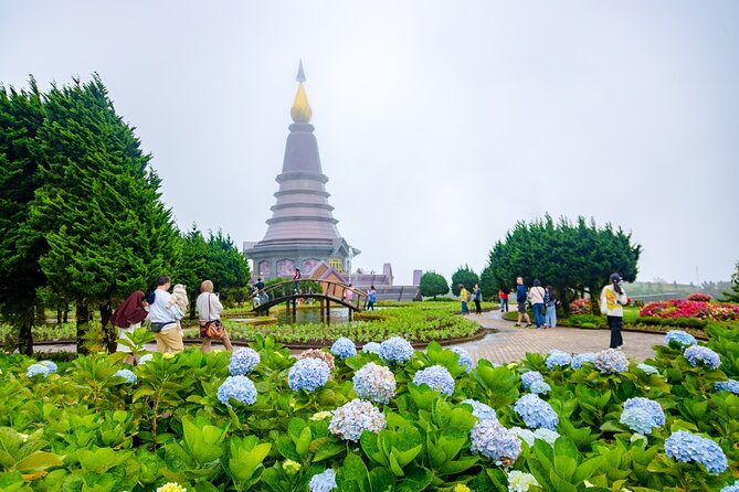 Pha Dok Siew Nature Trail & Doi Inthanon National Park From Chiang Mai - Who This Tour Suits (and Who Should Skip It)