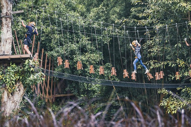 Phoenix Zipline Adventure Park – Chiang Mai Thrills - Phoenix Adventure Park: treetop thrills without the city noise