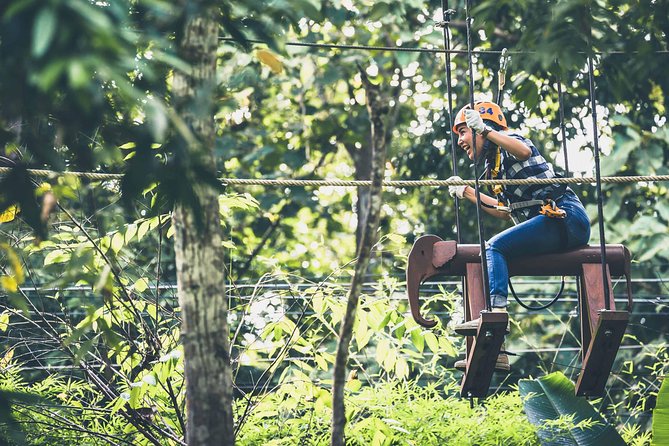 Phoenix Zipline Adventure Park – Chiang Mai Thrills - Value for money: does $37.65 make sense?