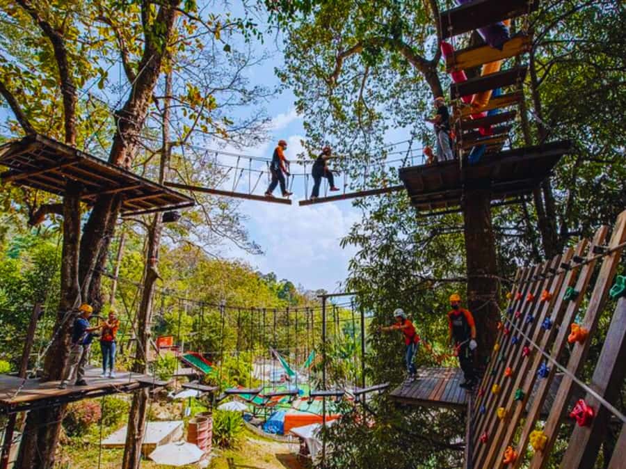 Pongyang Jungle Coaster & Zipline (Transfer) - Key things to know before you go
