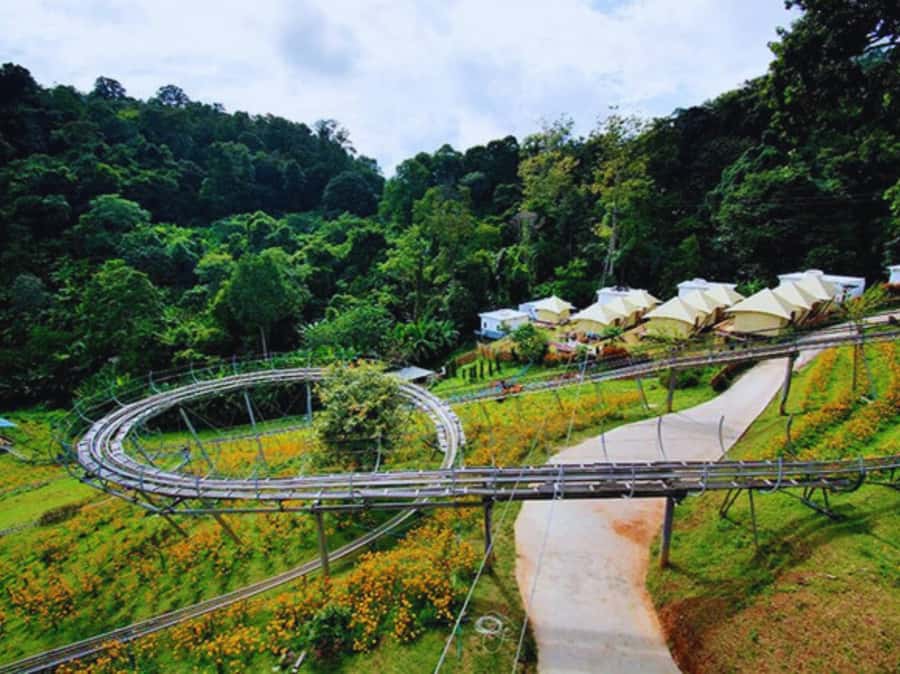 Pongyang Jungle Coaster & Zipline (Transfer) - How the transfer works in Chiang Mai city (and when extra charges pop up)
