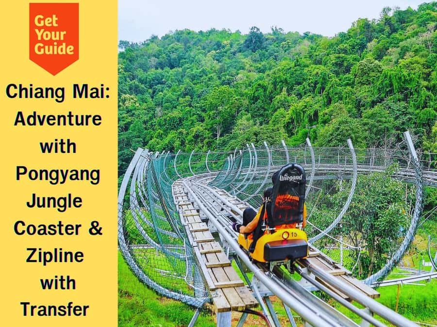 Pongyang Jungle Coaster & Zipline (Transfer) - Zipline adventure over treetops: the view is part of the thrill