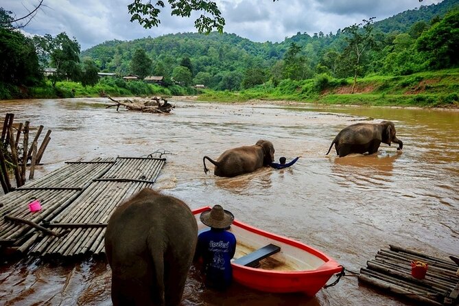 Private 3 Day Chiang Mai and Chiang Rai Tour - Day 1 in Chiang Mai: Sticky Waterfall, Elephants, Long-Neck Village, Chiang Dao Cave