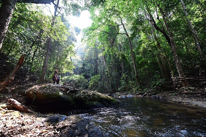 Private All-Inclusive Doi Inthanon & Pha Dok Siew Waterfall Tour - Wachirathan Falls: an 80-meter show with layers