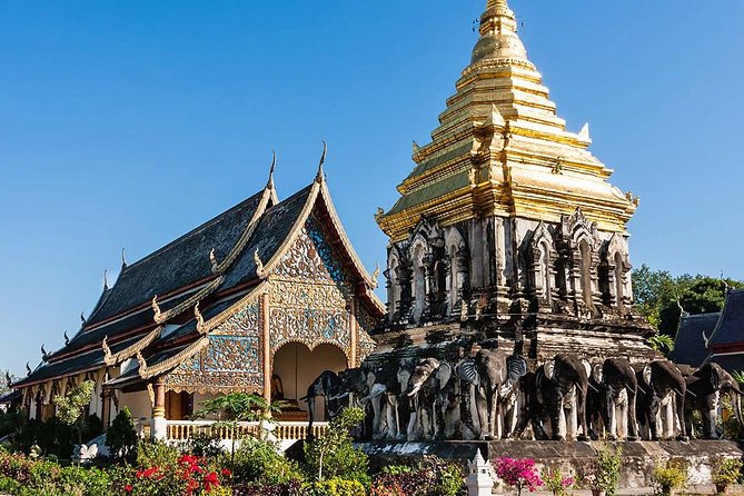 Private Chiang Mai City Tour including Wat Doi Suthep, Wat Suan Dok (SHA Plus) - What This Private Chiang Mai Temple Day Is Really Like