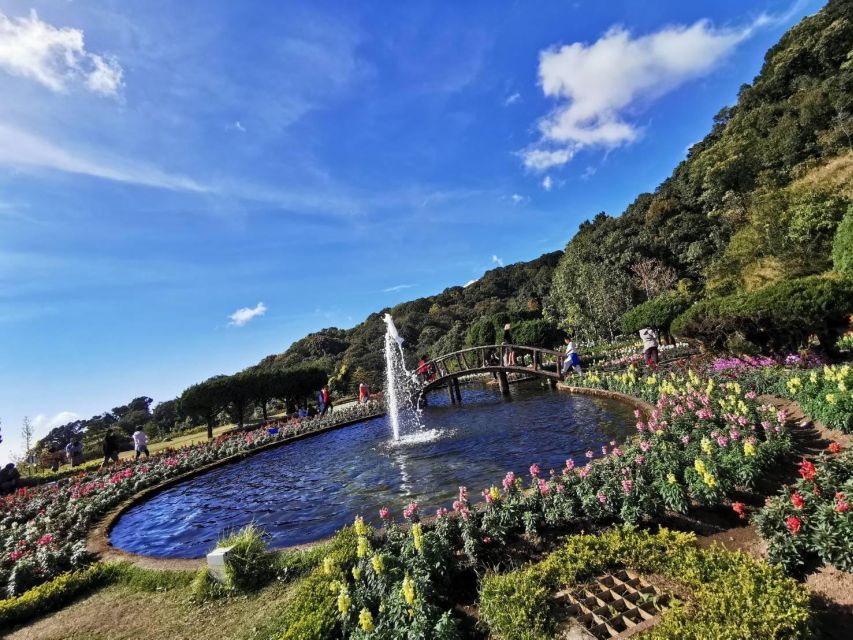 Private Day Tour Doi Inthanon With Mae Ya Waterfall - Mae Ya Waterfall: The Payoff After the Park Gets Colder