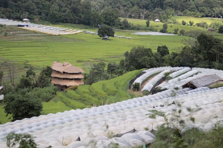 Private Doi Inthanon With Trekking Pha Dok Siew Nature Trail - Hmong Market and the daily-life vibe