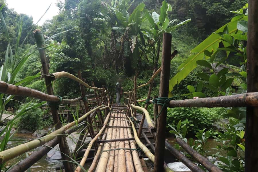 Private Doi Inthanon With Trekking Pha Dok Siew Nature Trail - Doi Inthanon National Park: cold air, big views, and the highest point vibes