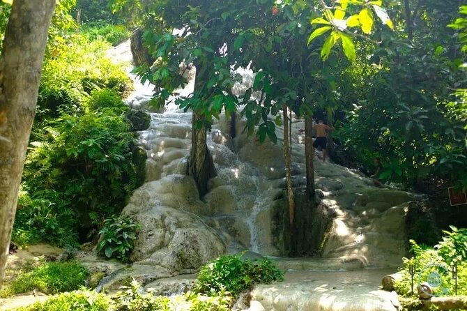 Private Tour: Bua Thong Sticky Waterfalls Tour - Emerald pond views, sacred water, and when to slow down for photos