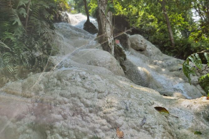 Private Tour: Bua Thong Sticky Waterfalls Tour - Who should book this sticky waterfall private tour