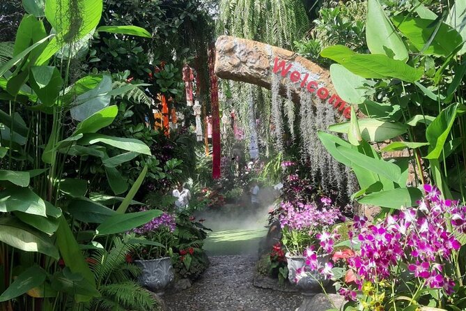 Private Tour Chiang Rai 3 Wonderful Temples & Lalitta Cafe - A private Chiang Rai day that’s built for your comfort