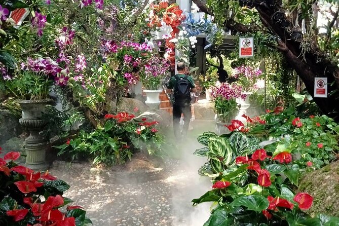 Private Tour Chiang Rai 3 Wonderful Temples & Lalitta Cafe - Wat Rong Suer Ten (Blue Temple): contemporary choices with Buddhist roots