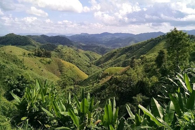 Private Tour: Chiang Rai Golden Triangle Day Trip from Chiang Mai - Mekong cruise from the Golden Triangle to Don Sao (passport required)