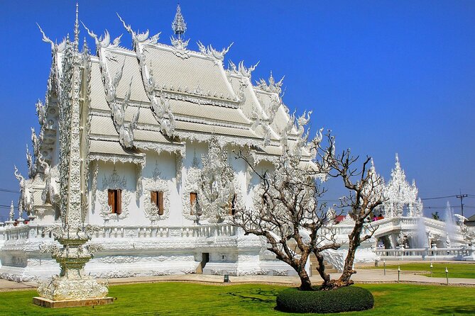 Private Tour: Chiang Rai Golden Triangle Day Trip from Chiang Mai - Wat Rong Khun (White Temple): surreal symbolism with plenty of detail
