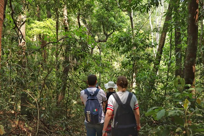 Private Tour Doi Inthanon And Trekking Nature Trail, Chiang Mai - Lunch stop: a real pause before the active part