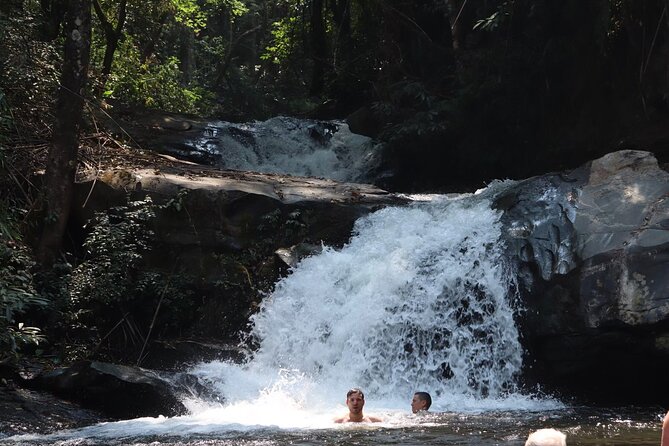 Private Tour Doi Inthanon And Trekking Nature Trail, Chiang Mai - Pha Dok Siew Nature Trail: the 2-hour walk that gives meaning
