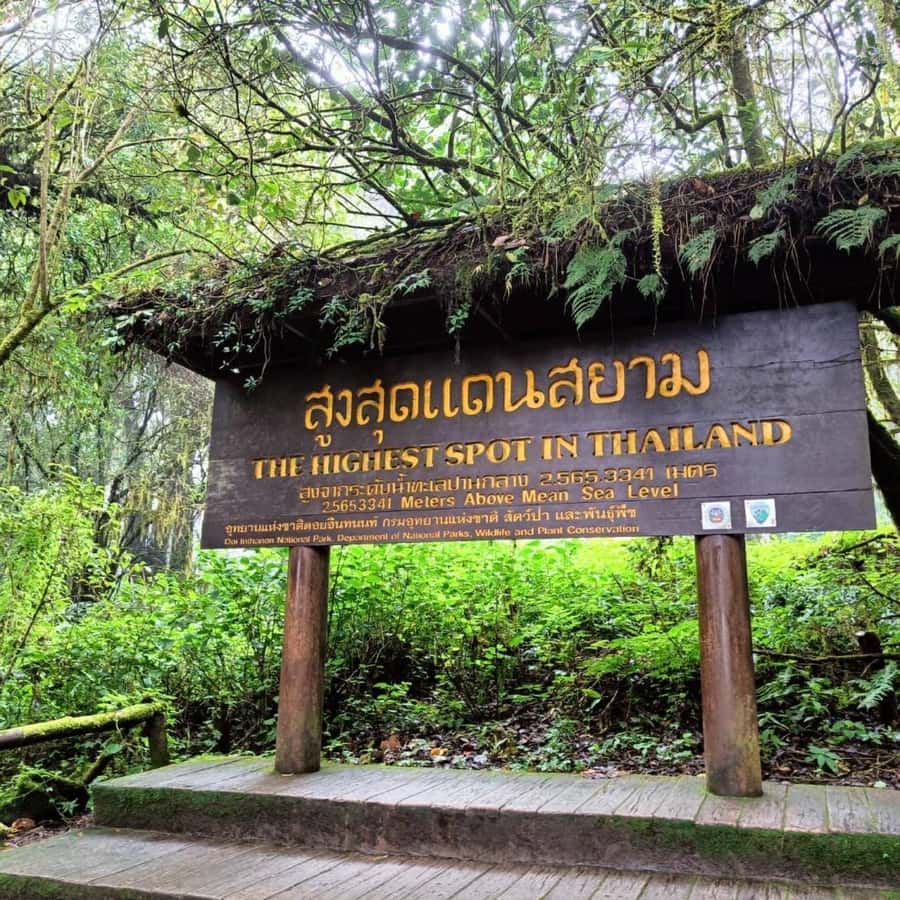 Private Tour Doi Inthanon, Trekking Kew Mae Pan Nature Trail - Quick hits: what makes this day tour work