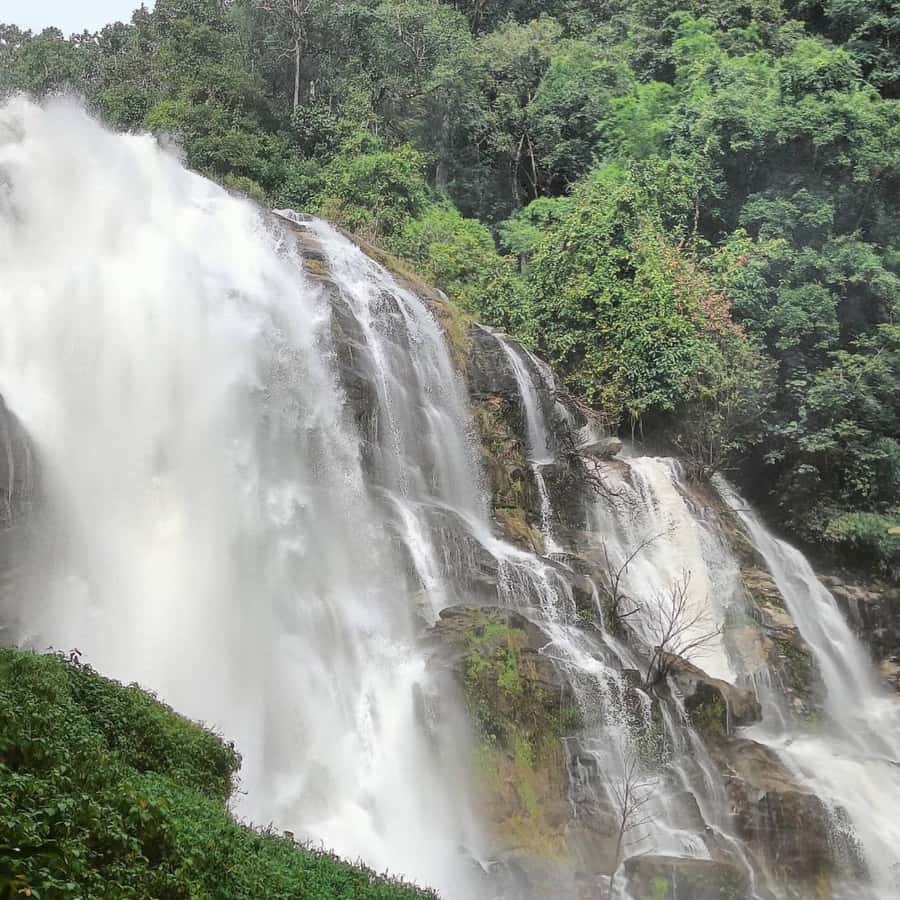 Private Tour Doi Inthanon, Trekking Kew Mae Pan Nature Trail - Chiang Mai’s biggest altitude day: Doi Inthanon in one shot