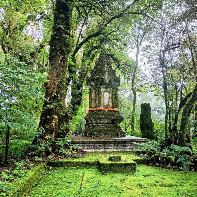 Private Tour Doi Inthanon, Trekking Kew Mae Pan Nature Trail - The 2-hour Kew Mae Pan Nature Trail trek: where the day becomes active