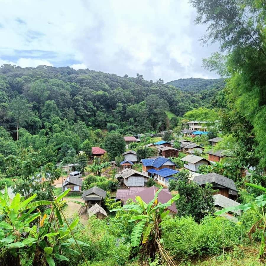 Private Tour Doi Inthanon, Trekking Kew Mae Pan Nature Trail - Ban Mae Klang Luang and the White Karen coffee stop