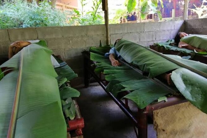 Private Tour in Chiang Mai Village Experience Nature - Getting to Mae Kampong: the early start that makes the day feel unhurried