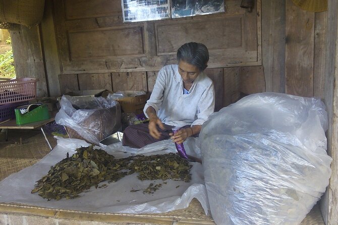 Private Tour in Chiang Mai Village Experience Nature - Animal-caring note if you’re also comparing elephant experiences