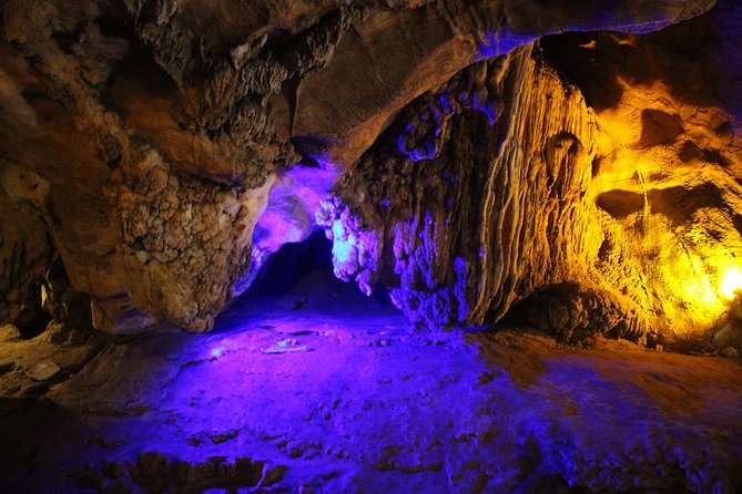 Private tour] Perfect day! Sticky waterfall + ChiangDao Cave + Wat BandenTemple - Stop 1: Bai Orchid and Butterfly Farm for a quick hit of color