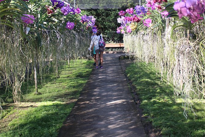 Private tour] Perfect day! Sticky waterfall + ChiangDao Cave + Wat BandenTemple - Guide and logistics: why this private setup saves energy