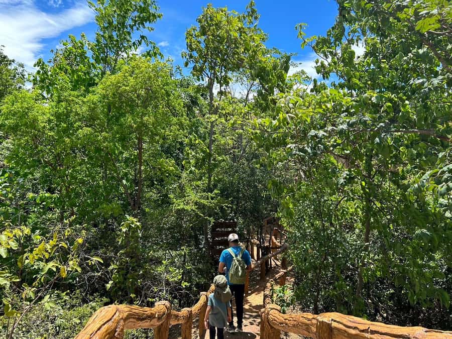 Private Tour Pha Chor Canyon & Doi Inthanon National Park - Wachiratharn Waterfall: cool air, huge drops, and rainbow odds