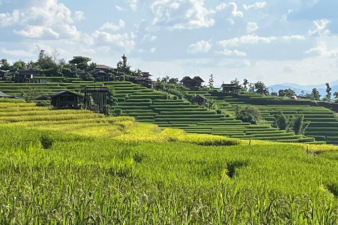 Private Tour to Chiang Mai Rice Terraces and National Park - A mountain day that hits the big sights (and keeps moving)
