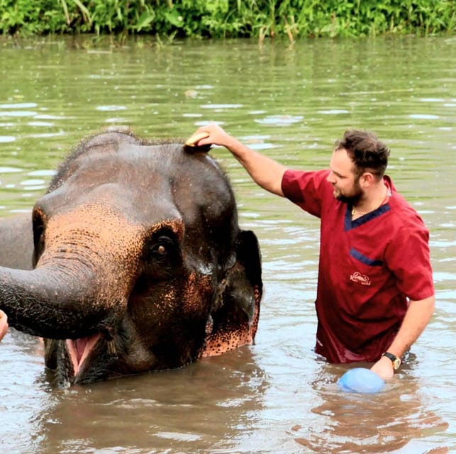 Rantong elephant sanctuary Chiangmai - A Rescue-First Elephant Visit From Chiang Mai’s Old City