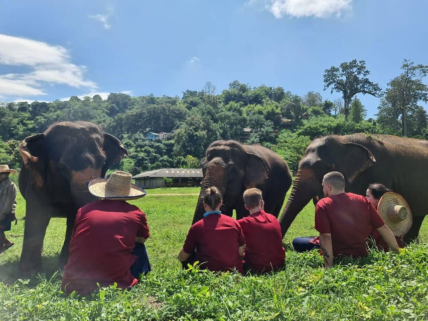 Rantong elephant sanctuary Chiangmai - Stop 1: Hotel Pickup in the Old City