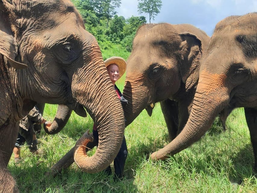 Rantong elephant sanctuary Chiangmai - Stop 2: Chiang Mai On the Way In (Coffee, Tea, Lunch/Dinner, and the Guide)