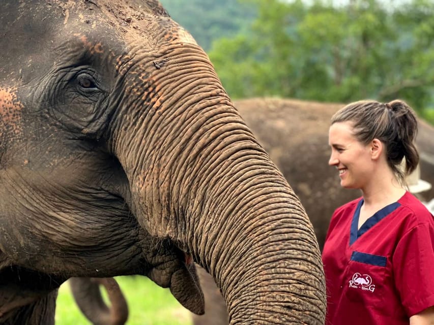 Rantong elephant sanctuary Chiangmai - Stop 3: Walking, Feeding, and Interacting Up Close