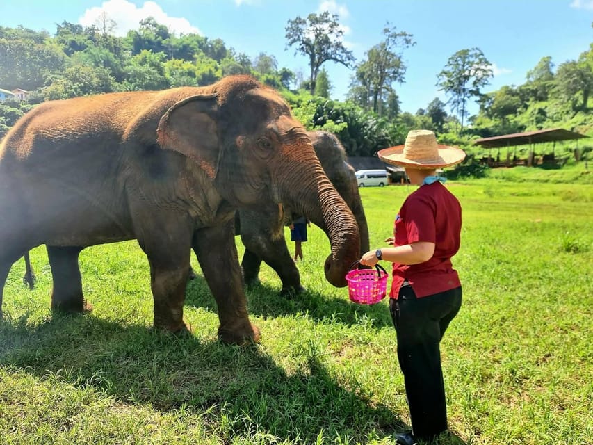 Rantong elephant sanctuary Chiangmai - Stop 4: Bath Time (Where the Day Gets Real)