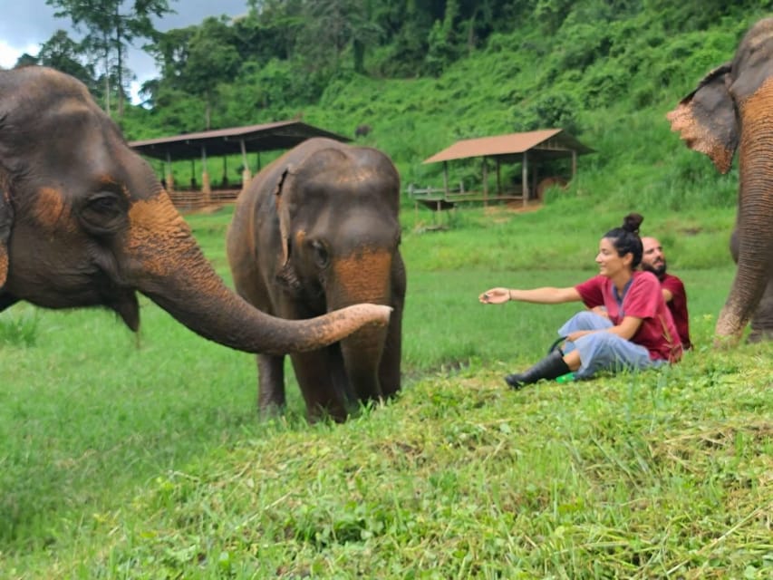 Rantong elephant sanctuary Chiangmai - Food and Care Focus: Traditional Thai Meal as a Reset