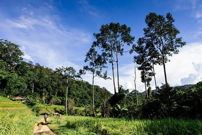 Rural Explorer Mountain Biking Tour Chiang Mai - The 7-Hour Rural Ride Rhythm: Pickup, Riding, Stops, Repeat