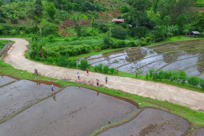 Rural Explorer Mountain Biking Tour Chiang Mai - Price and Value: Why $81.44 Can Make Sense