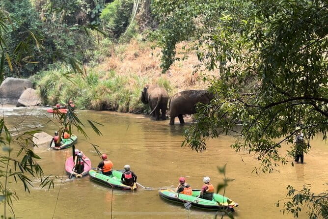 Safety whitewater rafting in Chiangmai by Khampan Rafting - Why the Maetaeng grade 2–4 run feels safe for first-timers
