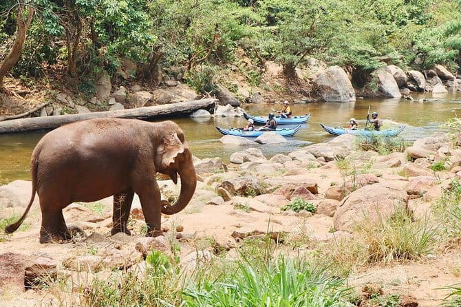 Safety whitewater rafting in Chiangmai by Khampan Rafting - Price and value of this 5-hour Chiang Mai rafting trip