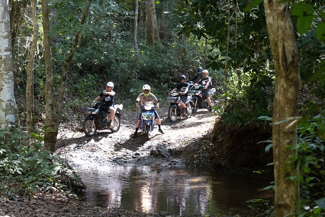 Scooter Adventure with elephants, views and FUN drive yourself - Elephant Fun Farm Chiangmai: up-close elephant time with choices