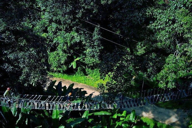 Sky Hawk Zipline Chiang Mai – Ultimate Canopy Adventure - Why this zipline tour feels like a real adventure